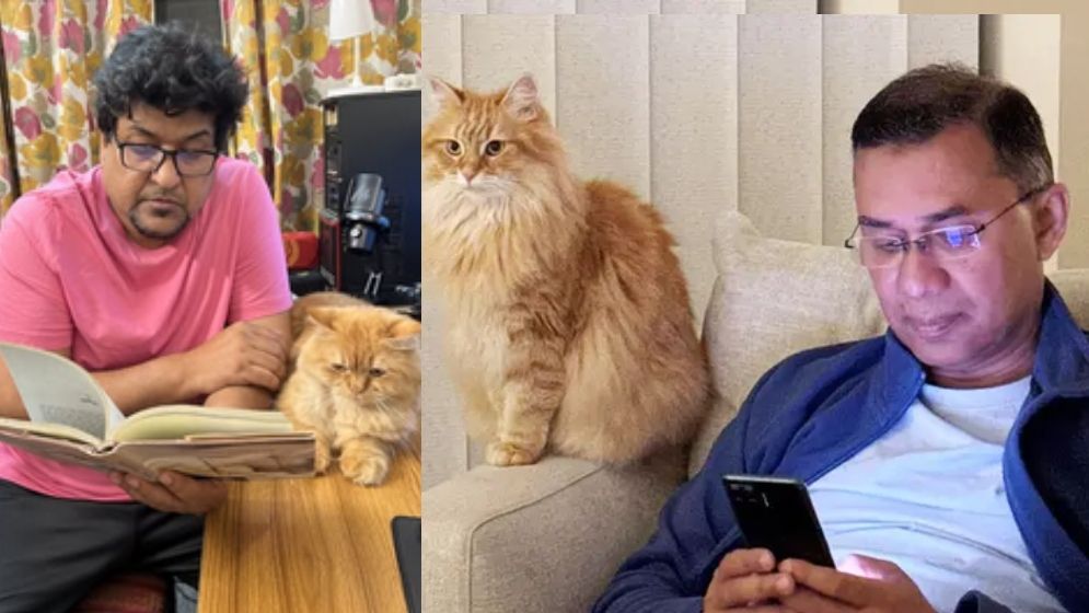 জেবুর কথা উল্লেখ করে তারেক রহমানের কাছে কয়েকটি দাবি দীপনের