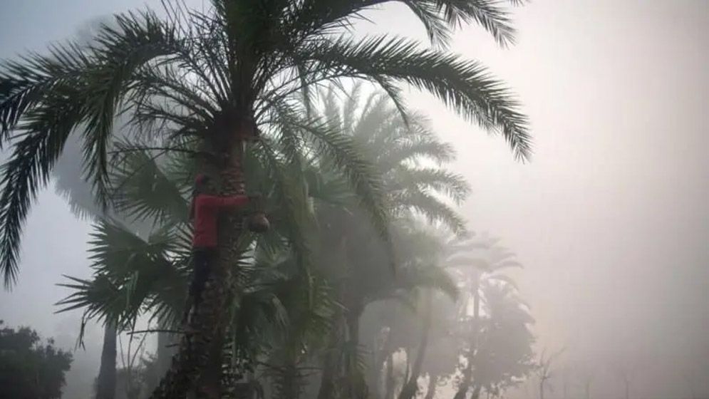 বাংলাদেশে শীতকালে সর্বনিম্ন তাপমাত্রা ছিল কোন কোন বছরে?